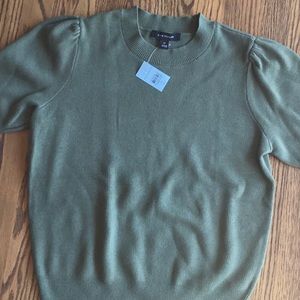 Ann Taylor Short sleeve sweater M Petite green